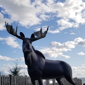 Meet your Posher, Wanda